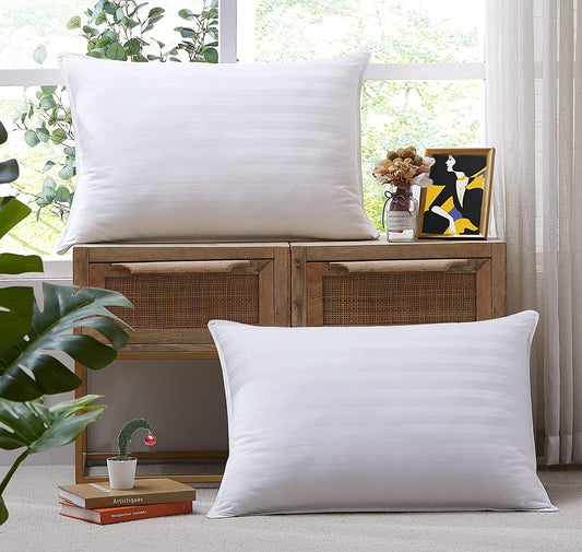 JDX Sleepping Microfiber Standard White Pillows, Set of 2 - JDX STORE