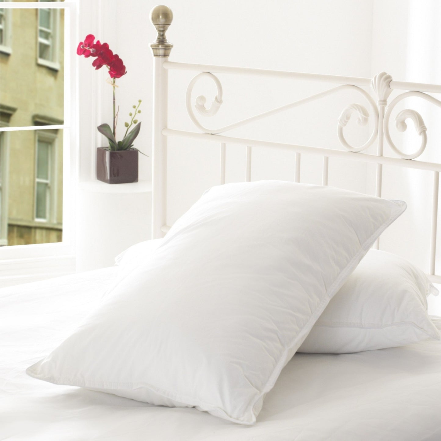 JDX Soft Fiber Sleeping Cotton Pillow Set of 2 (White) - JDX STORE